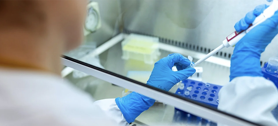 Taiho Pharmaceuticals