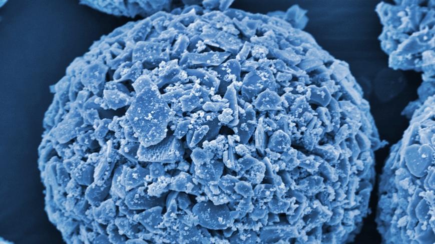 Ceramic granules made of aluminum oxide were coated with a nanometer-thin layer of copper oxide, as shown here at 5,000-fold magnification (electron microscopy, colored). Image: Sena Yüzbasi / Empa