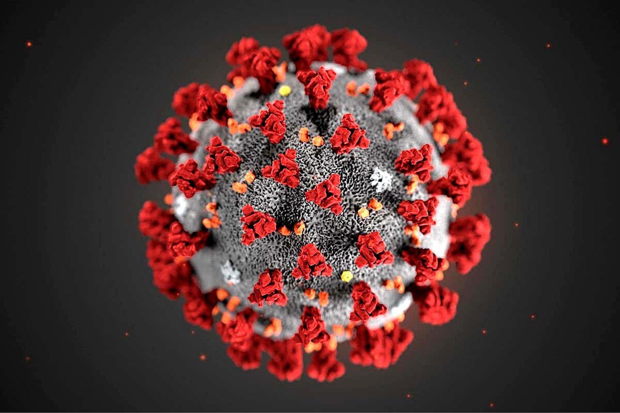 Biomarkers for severe cases of COVID-19 discovered
