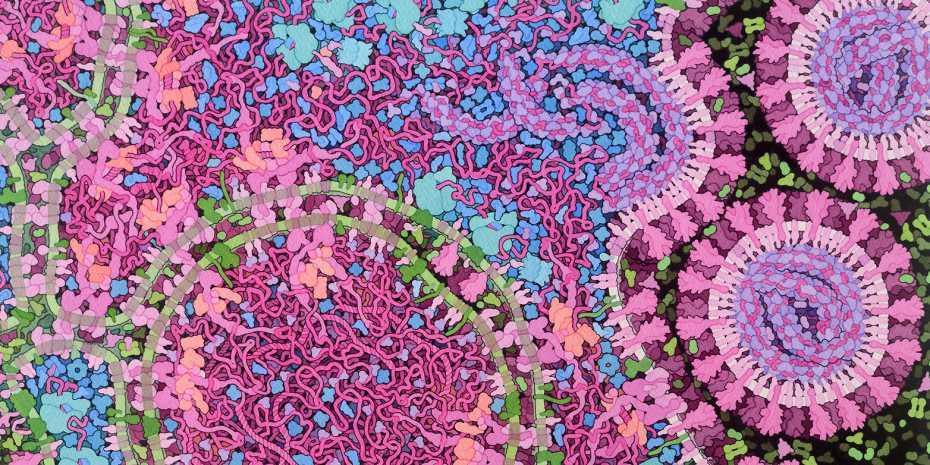 Coronavirus research by ETH Zurich