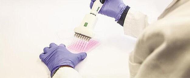 InSphero from Greater Zurich revolutionizes transport of cell cultures
